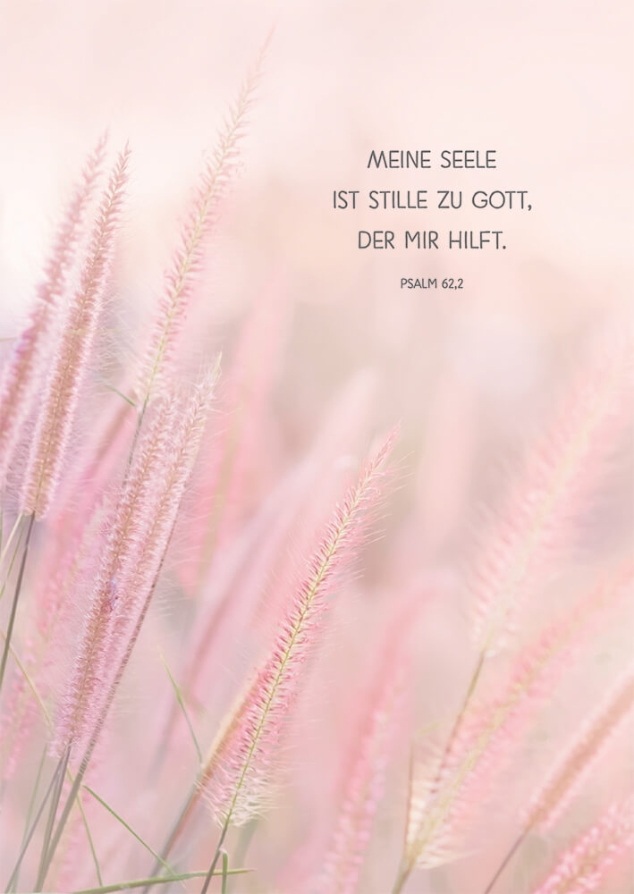 VPE 6 Trauer: Meine Seele ist stille zu Gott, der mir hilft