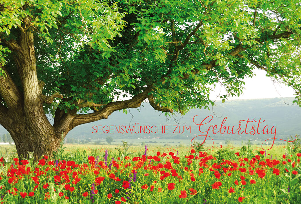 VPE 6 Segenswünsche zum Geburtstag 