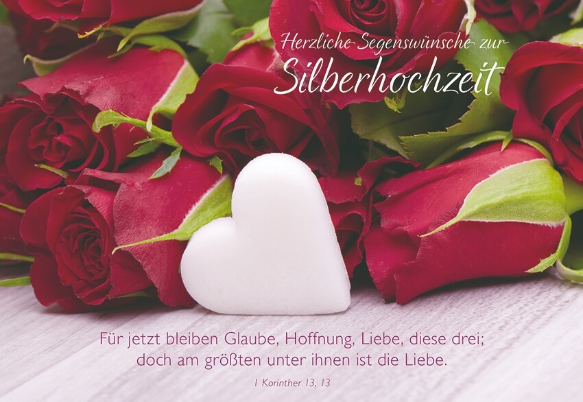 VPE 6 SHB Silberhochzeit rote Rosen