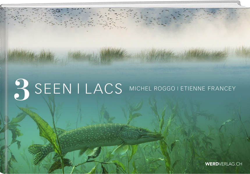 3 Seen – 3 Lacs
