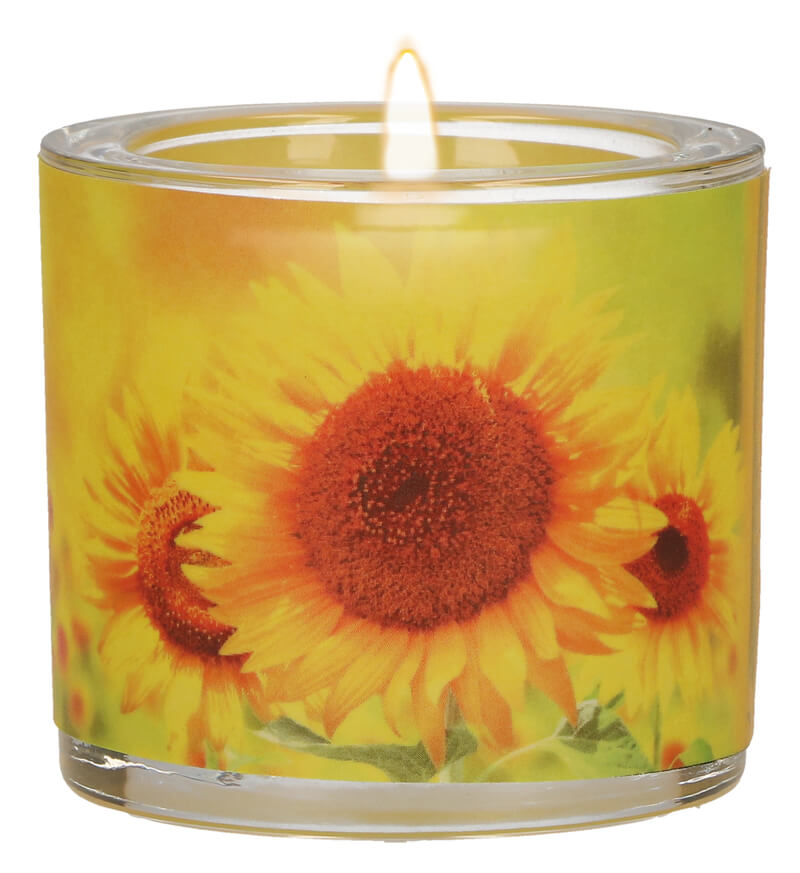 MB 3 GWL Geburtstag. Ich wünsche Dir dass es immer einen Sonnenstrahl in deinem...