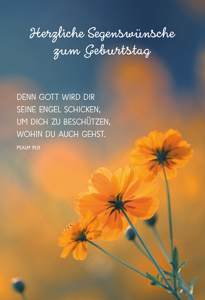 VPE 6 Herzliche Segenswünsche zum Geburtstag. Dein Gott wird Dir seine Engel...