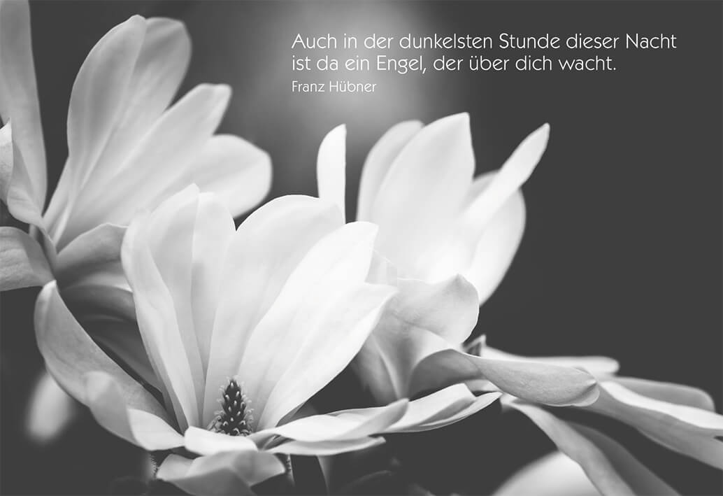 VPE 6 Trauerkarte mit Text: Auch in der dunkelsten Stunde