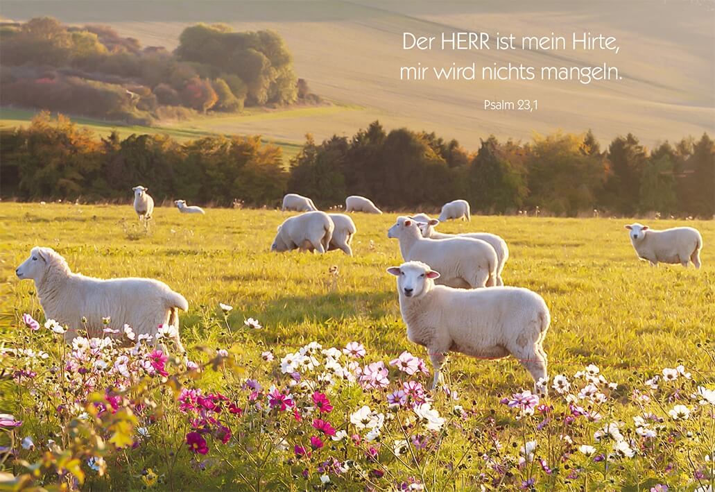 VPE 6 Jubiläum: Der Herr ist mein Hirte, mir wird nichts mangeln
