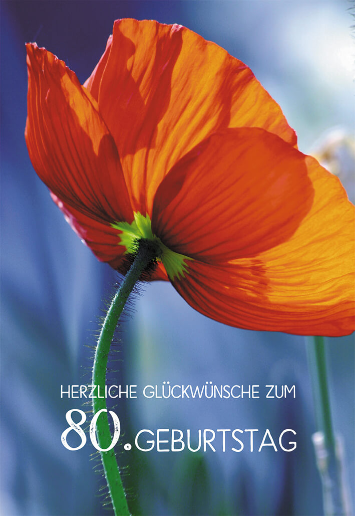 VPE 6 Herzliche Glückwünsche zum 80. Geburtstag